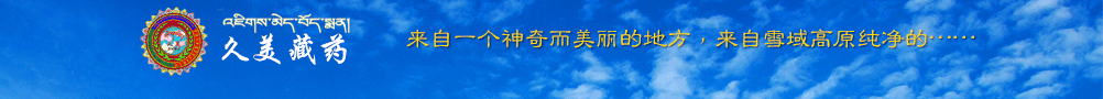 青海久美藏藥藥業有限公司