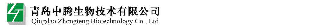 ���u���v���＼�g���޹�˾