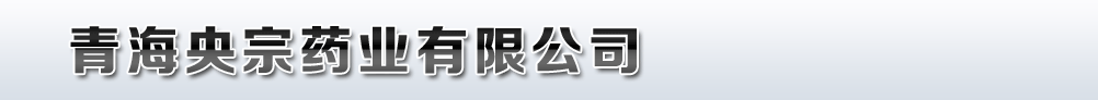�ຣ����ˎ�I���޹�˾