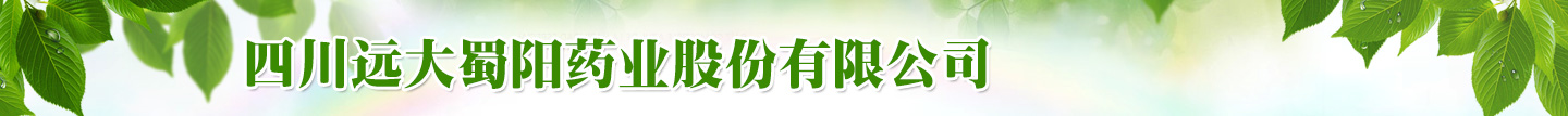 �Ĵ��h�����ˎ�I�ɷ����޹�˾