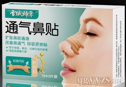 ѩ�����ͨ����N13Ƭ�b