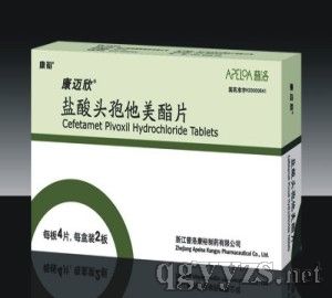 鹽酸頭孢他美酯片