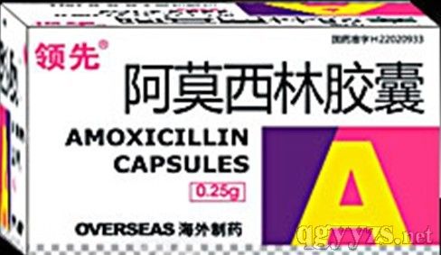 ��Ī�����z��