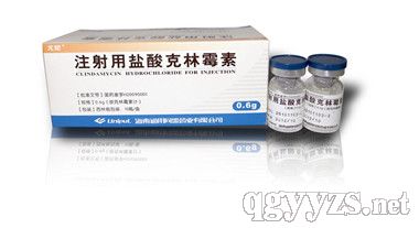 ע�����}�����ù��