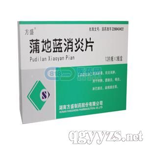 �ѵ��{����Ƭ