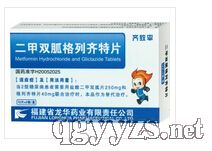 齊致平二甲雙胍格列齊特片