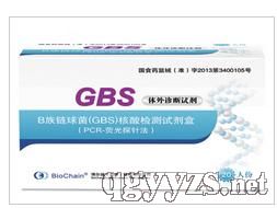 B族鏈球菌GBS核酸檢測(cè)試劑盒