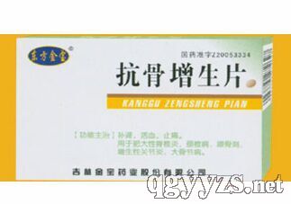 ��������Ƭ