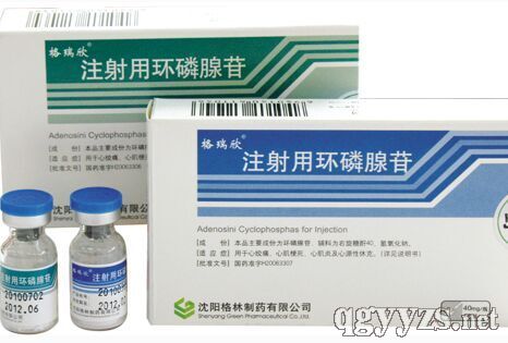 注射用環(huán)磷腺苷40mg