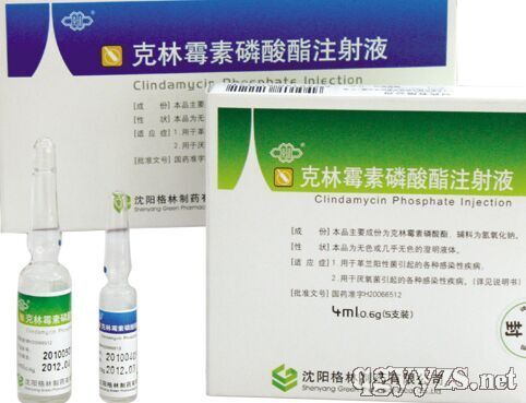 克林霉素磷酸酯注射液