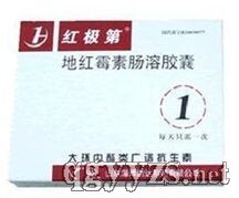 地紅霉素腸溶膠囊