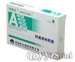 阿莫西林膠囊