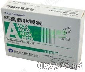 阿莫西林顆粒