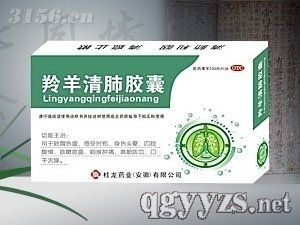 羚羊清肺膠囊