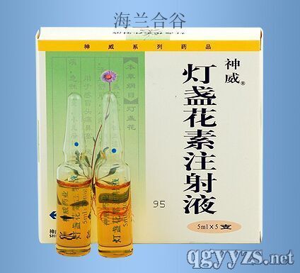 燈盞花素注射液