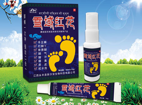 ѩ��t������һ�������