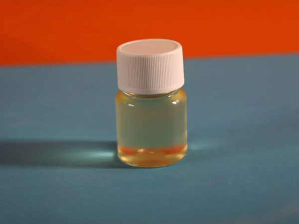 �B͸���S��