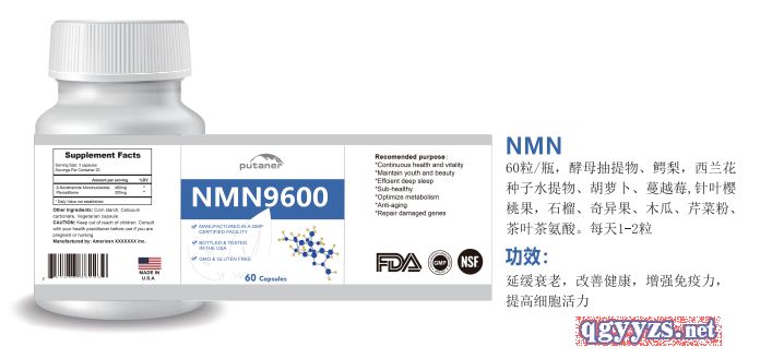 �M�ڱ���ƷOEM�N�ƴ��ӹ�NMN�oøQ10