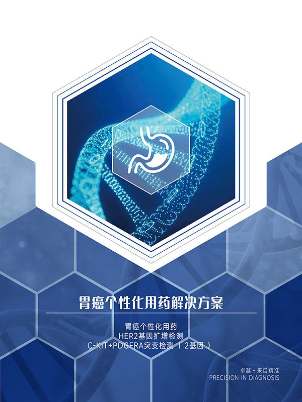 θ�����Ի���ˎ��Q�������ΰ�����ˎ�����z�y��EGFRͻ׃����z�y��