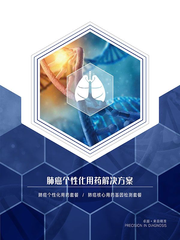 �ΰ����Ի���ˎ��Q�������ΰ�����ˎ�����z�y��EGFRͻ׃����z�y��