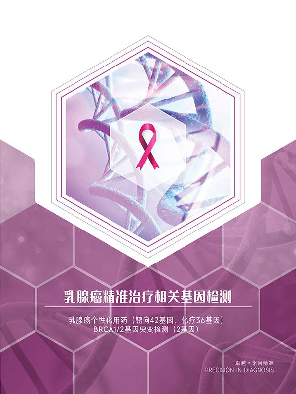 ���ٰ�����(zh��n)�ί����P(gu��n)����z�y�����ٰ�����ˎ�����z�y��BRCA12�z����